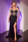 Prom Dresses Prom Long Formal Fitted Fringe Dress Black