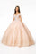 Long Glitter Mesh Quinceanera Dress - The Dress Outlet Elizabeth K
