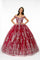 Long Glitter Mesh Quinceanera Dress - The Dress Outlet Elizabeth K