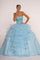 Long Prom Quinceanera Dress Sweet 16 - The Dress Outlet Elizabeth K