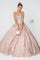 Long Quinceanera Dress Glitter Mesh - The Dress Outlet Elizabeth K