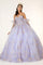 Long Quinceanera Dress Glitter Mesh Ball Gown - The Dress Outlet