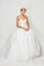 Long Quinceanera Glitter Mesh Ball Gown - The Dress Outlet Juliet