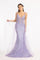 Long Spaghetti Strap Mesh Mermaid Prom Dress - The Dress Outlet