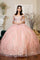 Long Sweet 16 Glitter Mesh Quinceanera Ball Gown - The Dress Outlet