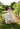 Wedding Dresses A Line Lace Corset Wedding Dress Ivory/Champagne/Honey