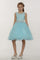Rhinestone Lace Flower Girl Dress with Peekaboo Waist - The Dress Outlet Cinderella Couture