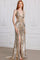 Prom Dresses Prom Fitted Long Formal Striped Sequin Evening Dress Champagne