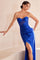Prom Dresses Pleated Long Formal Fitted Prom Dress Royal