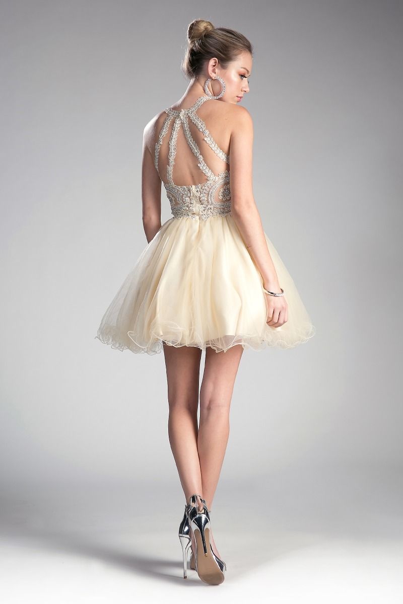 Cocktail Dresses Short Lace Applique Cocktail Dress Champagne